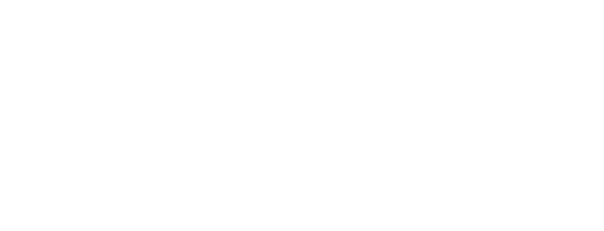 Flying Charters